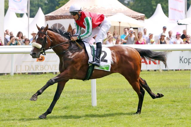 Dashing Home heißt der Sieger im einzigen Zweijährigen-Rennen in Hamburg, im Sattel sitzt  Alexander Pietsch. www.galoppfoto.de - Sabine Brose