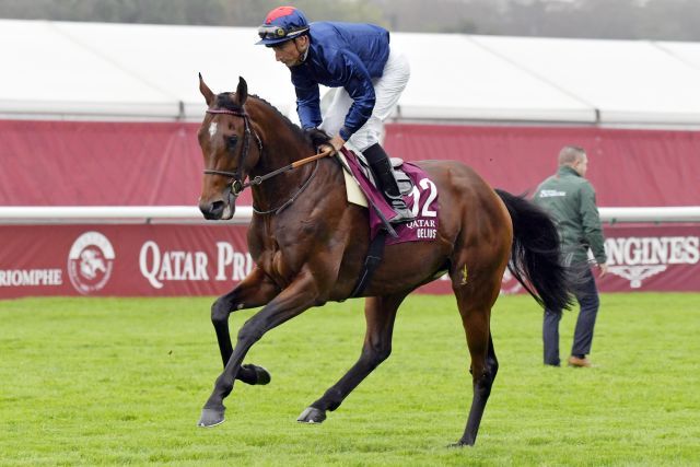 Delius wird bei Tattersalls versteigert. www.galoppfoto.de - JJ Clark