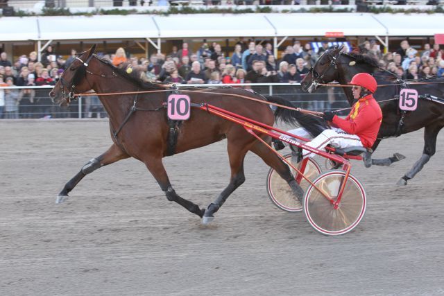 Der Sieger des Großen Preises von Deutschlan, Tamla Celeber, mit Fahrer Örjan Kihlström. Foto www.winrace.de