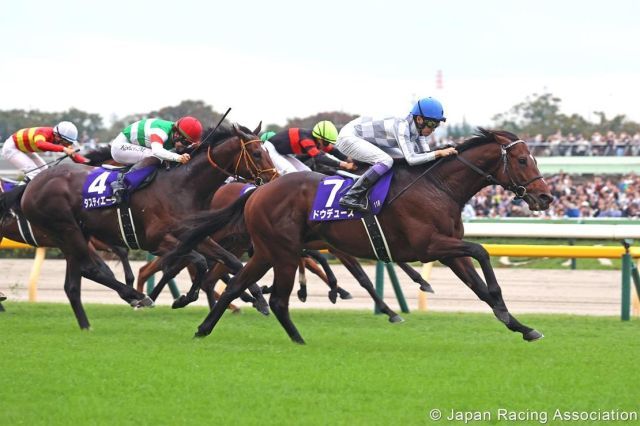 Do Deuce - nach dem Tenno Sho-Sieg nun zum Japan Cup. Foto: JRA