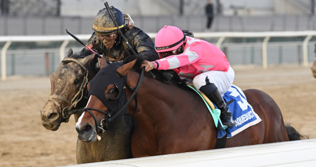 Dornoch holt sich die Remsen Stakes. Foto: Aqueduct/Joe Labozzetta