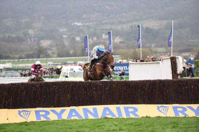 Un de Sceaux am letzten Sprung in der Ryanair Chase. www.galoppfoto.de - JJ Clark