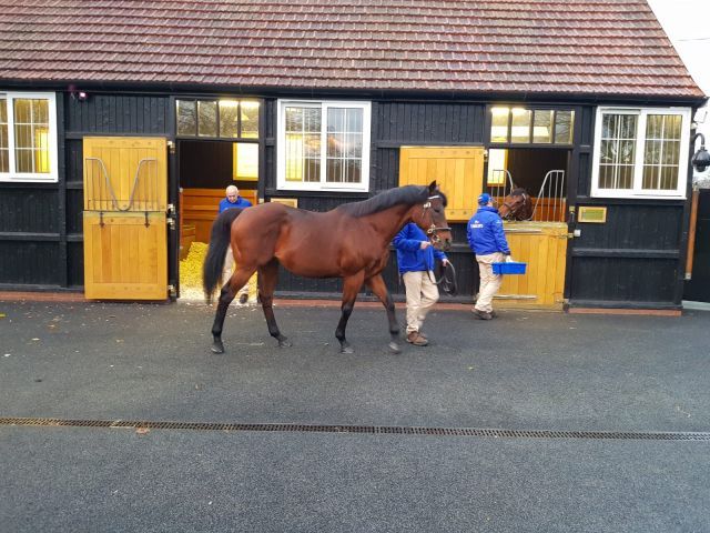 Dubawi