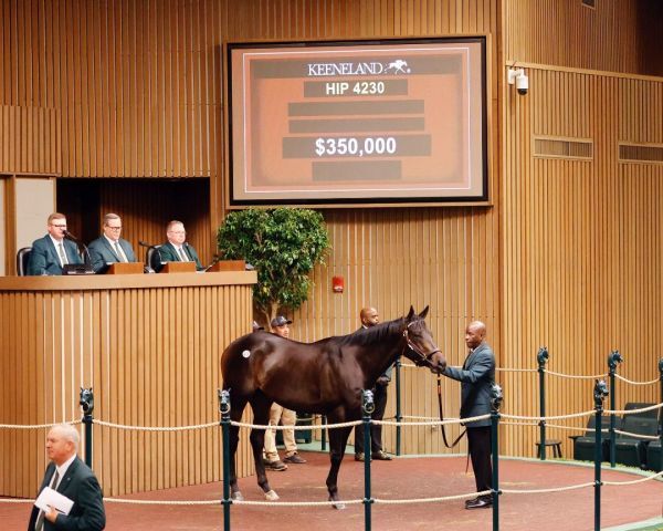 Edgartown ist ein weiterer Wathnan-Kauf. Foto: Keeneland