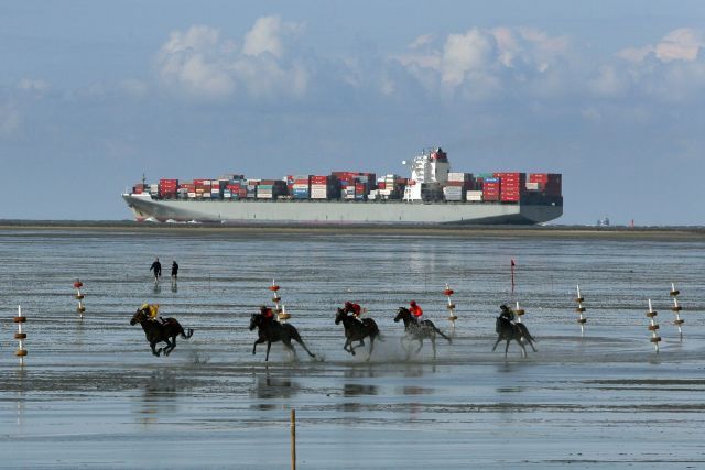 Einmal im Jahr wird das Wattenmeer bei Cuxhaven zur Rennbahn. www.galoppfoto.de - Frank Sorge