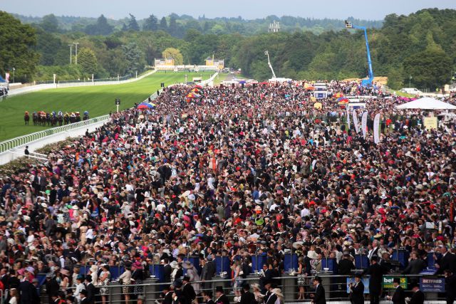 Elektrisiert die Massen - das königliche Galopp-Spektakel in Royal Ascot. www.galoppfoto.de - Frank Sorge