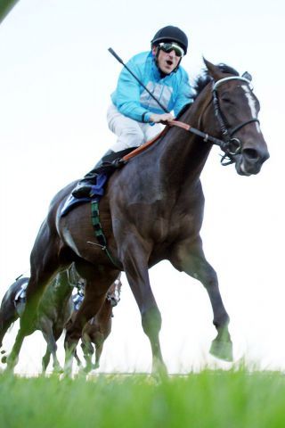 Elle Shadow mit Andrasch Starke Foto: www.galoppfoto.de