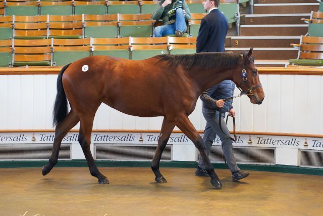 900.000gns. kostete die Schwester von Camille Pissarro. Foto: Tattersalls