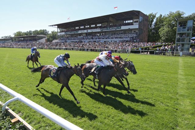 It is tight: Erle, the grey, winning the Diana Trial in Berlin-Hoppegarten. www.galoppfoto.de