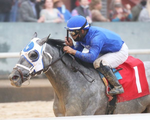 Essential Quality bleibt in den Southwest Stakes ungeschlagen. Foto: courtesy by Oaklawn Park