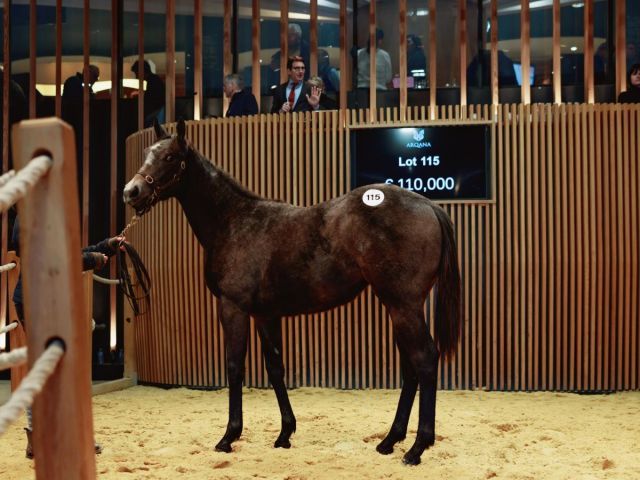 Die Salestopperin von Extreme Choice. Foto: Arqana