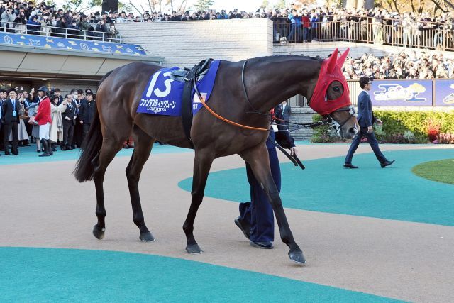 Fantastic Moon in the parade ring www.galoppfoto.de - Petr Guth