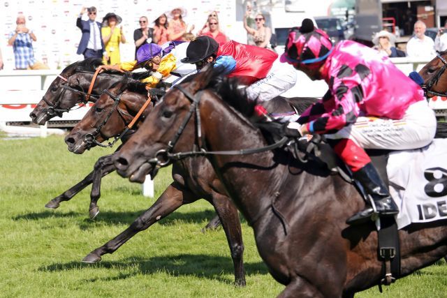 Knapp ging es zu: Innen gewinnt Sammarco mit Bauyrzhan Murzabayev, außen wird Schwarzer Peter mit Andreas Helfenbein im pinken Dress Zweiter, der Favorit So Moonstruck landet mit Frankie Dettori auf dem 3. Platz. ©galoppfoto - Sabine Brose