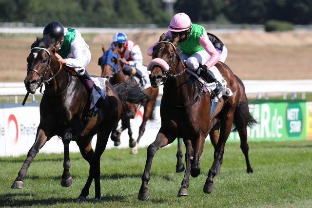 Fearless King (innen) gewinnt mit Rene Piechulek im Sattel für Trainerin Sarah Steinberg und den Stall Steinberg vor dem bis dato ungeschlagenen "Galopper des Jahres" Rubaiyat. Foto: Dr. Jens Fuchs