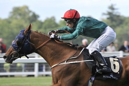 Fox Hunt mit Silvestre De Souza Foto: Ascot