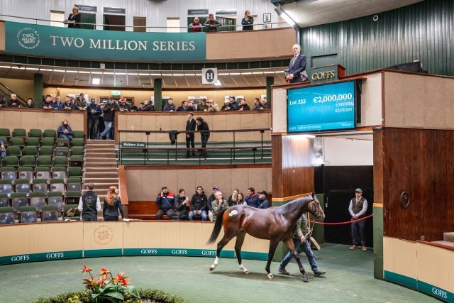 Zwei Millionen Euro brachte dieser Frankel-Hengst. Foto: Goffs