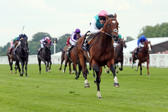 Souverän: Frankel mit Tom Queally in den Queen Anne Stakes, Gr. I, in Royal Ascot - hinten links wird Indomito (Areion) guter Vierter. www.galoppfoto.de - Frank Sorge