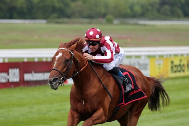 French King, Group Two winner on Sunday, Olivier Peslier on board. Foto: Dr. Jens Fuchs