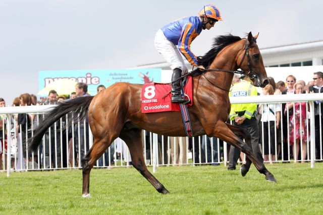 Frozen Fire - hier mit Michael Kinane - beim Aufgalopp in Epsom. www.galoppfoto.de