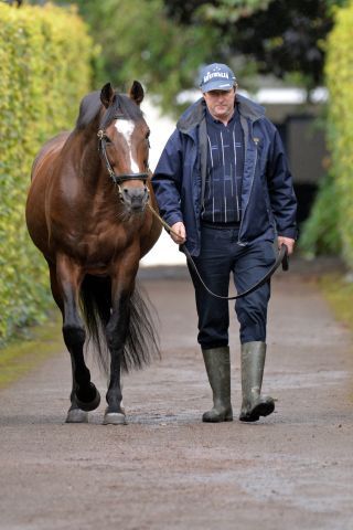 Galileo in Coolmore. www.galoppfoto.de - JJ Clark