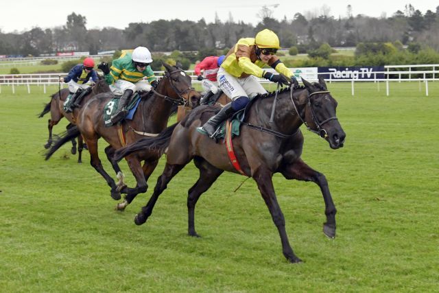 Galopin des Champs stürmt zum dritten Sieg im Irish Gold Cup. www.galoppfoto.de - JJ Clark