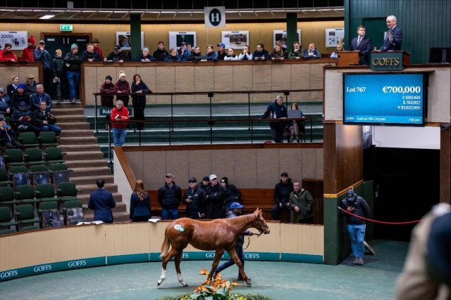 Der Ghaiyyath-Bruder brachte 700.000 Euro. Foto: Goffs