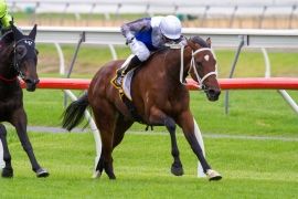 Glint of Hope holt sich die Australasian Oaks. Foto: courtesy by Morphettville racecourse