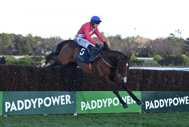 Grangeclare West bei seinem Gr. I-Sieg in Leopardstown. Foto: courtesy by Tattersalls