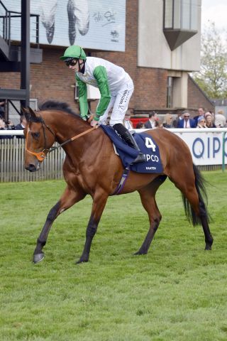 Haatem, hier unter James Doyle in Newmarket. www.galoppfoto.de - JJ Clark