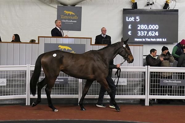 Die Salestopperin Heron In The Park. Foto: Tattersalls