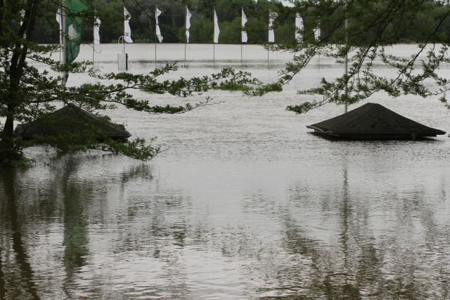 Hochwasser in Halle. www.pferde-gtm.de - Katja Gerhardt