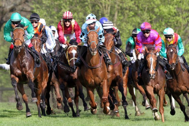 Pferde und Reiter im Bogen auf der Rennbahn in Hoppegarten. www.galoppfoto.de - Peter Heinzmann