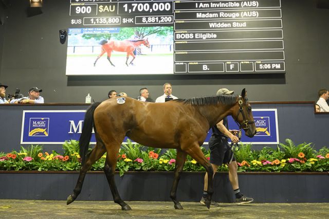 1,7 Millionen A-Dollar erlöste diese I Am Invincible-Stute. Foto: Magic Millions