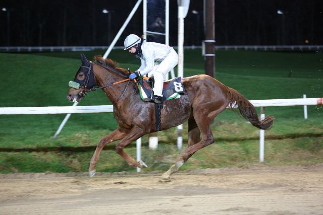 Der erste Sieg im Jahr 2015 ging nach München: Air Attack gewinnt mit Darren Moffat für Trainer John Hillis. Foto: Dr. Jens Fuchs