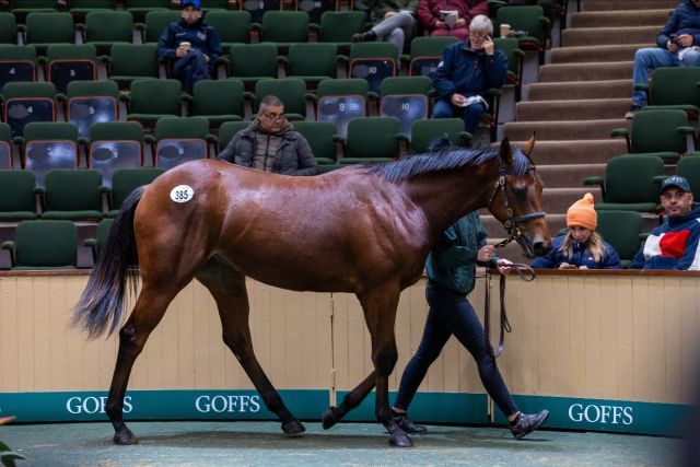 Die bisherige Salestopperin von Inns of Court. Foto: Goffs