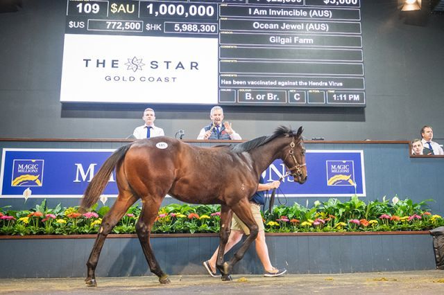 Eine Million A-Dollar brachte dieser I Am Invincible-Sohn. Foto: Magic Millions