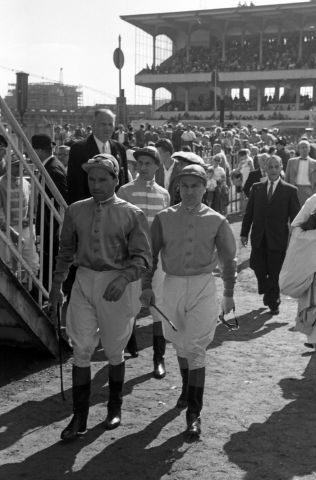 Das Hamburger Derby 1959: Die Jockeys Fritz Drechsler (links), Hein Bollow und Gerhard Streit auf dem Weg in den Führring. www.galoppfoto.de - Archiv Hilde Hoppe