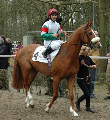 Machte im Führring einen guten Eindruck: Truly Perfekt unter Andrea Atzeni. Foto: Gabriele Suhr