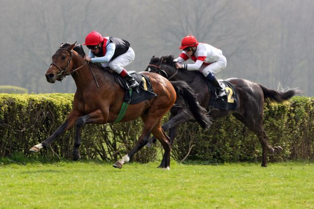 4-3-2-1: So lauten die Platzierungen von Karltheodor, der sich mit Andrea Atzeni in Hoppegarten gegen den favorisierten Stanley (Jozef Bojko) durchsetzte. www.galoppfoto.de - Frank Sorge