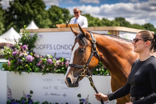 Der Kingman-Sohn aus der Laurens war vor Ort. Foto: Sarah Farnsworth/Goffs