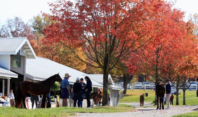 Kentucky im November. Foto: Keeneland