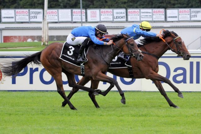 La Estrellita bei ihrem Zweijährigen-Sieg in München. www.galoppfoto.de