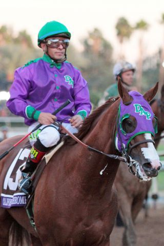 Landet seinen vierten Gr. I-Treffer: California Chrome mit Victor Espinoza. www.galoppfoto.de (Archiv) - Sandra Scherning