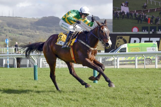 Majborough bei seinem Triumph im Triumph Hurdle. www.galoppfoto.de - JJ Clark