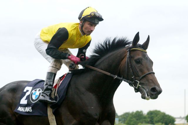 Seine Nachkommen sind über die Hindernisse sehr erfolgreich: Gestüt Fährhofs Malinas - hier mit Wiliam Mongil beim Aufgalopp zum BMW 135. Deutsches Derby 2004. www.galoppfoto.de - Frank Sorge