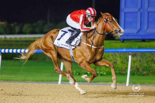 Manama Gold überzeugt unter Adrie de Vries. Foto: DRC