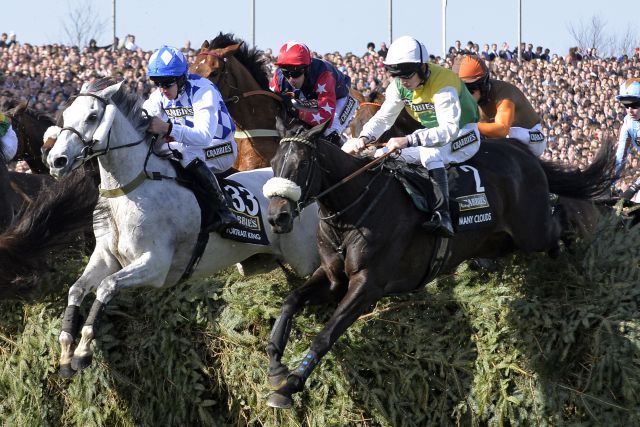 Das Rennen aller Rennen in Aintree - das Grand National: Hier sieht man den Sieger Many Clouds (rechts) mit Leighton Aspell neben Portrait King unter Davy Condon während des Rennens. www.galoppfoto.de - John James Clark