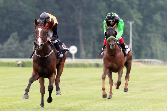 Volverino (li.) qualifiziert sich überraschend für das Halbfinale. www.galoppfoto.de