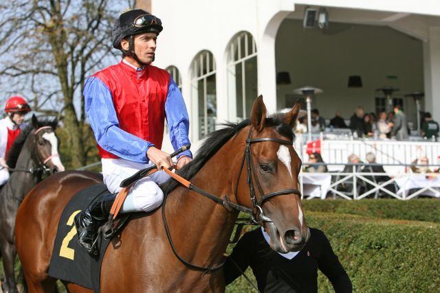 Der ehemalige Schlenderhaner Mawingo - hier mit Adrie de Vries in Hoppegarten - gibt jetzt sein Australien-Debüt. www.galoppfoto.de