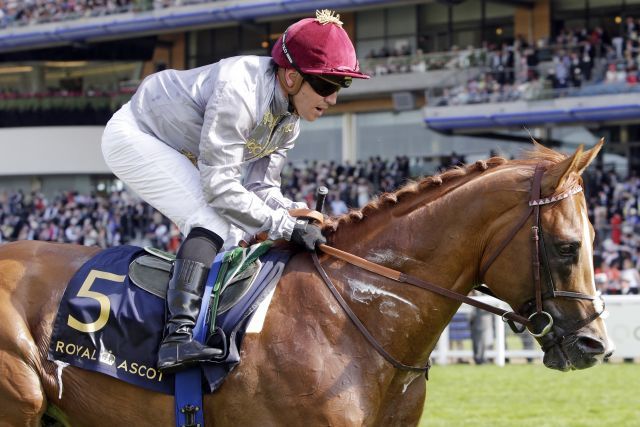 Mekhtaal, hier in Royal Ascot unter Gregory Benoist. www.galoppfoto.de